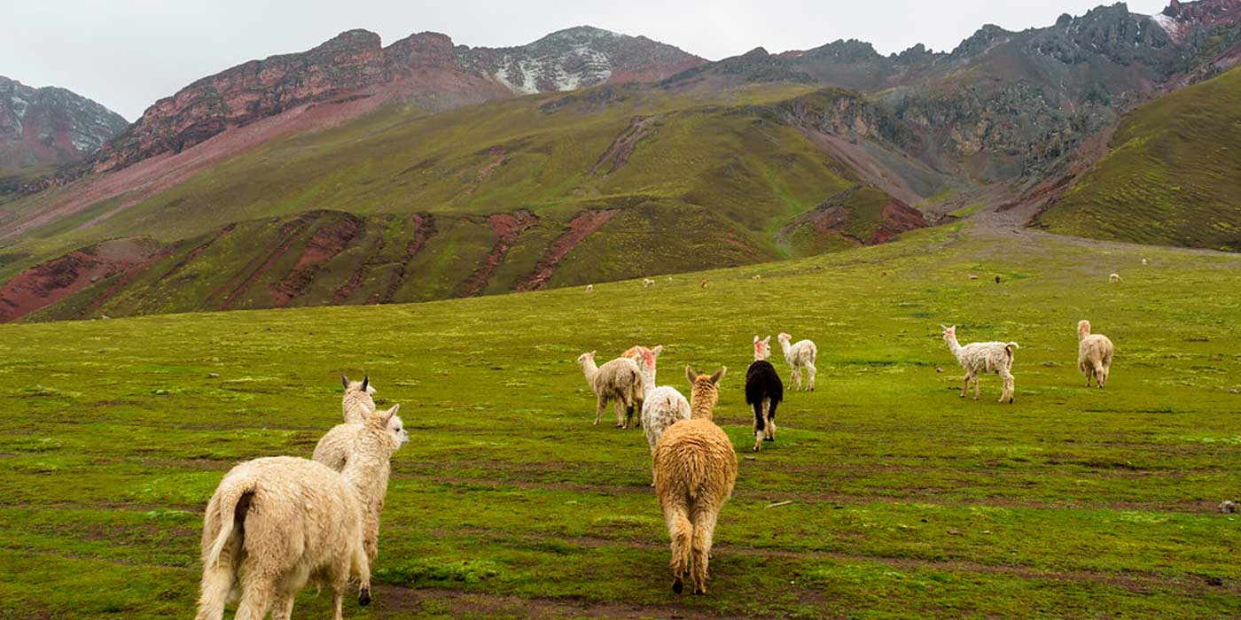 Ausangate Trek