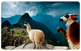 Machu Picchu