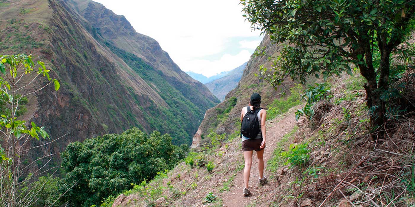 Inca Jungle