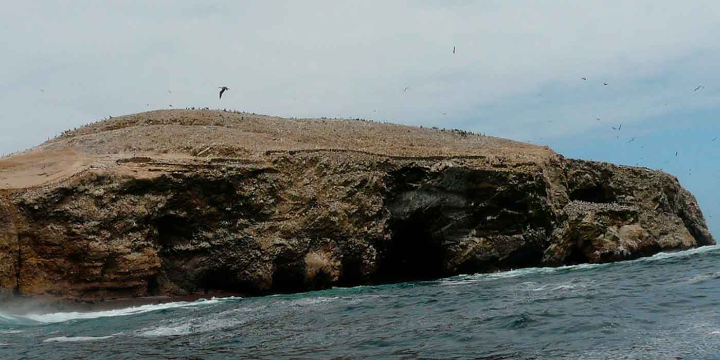Paracas