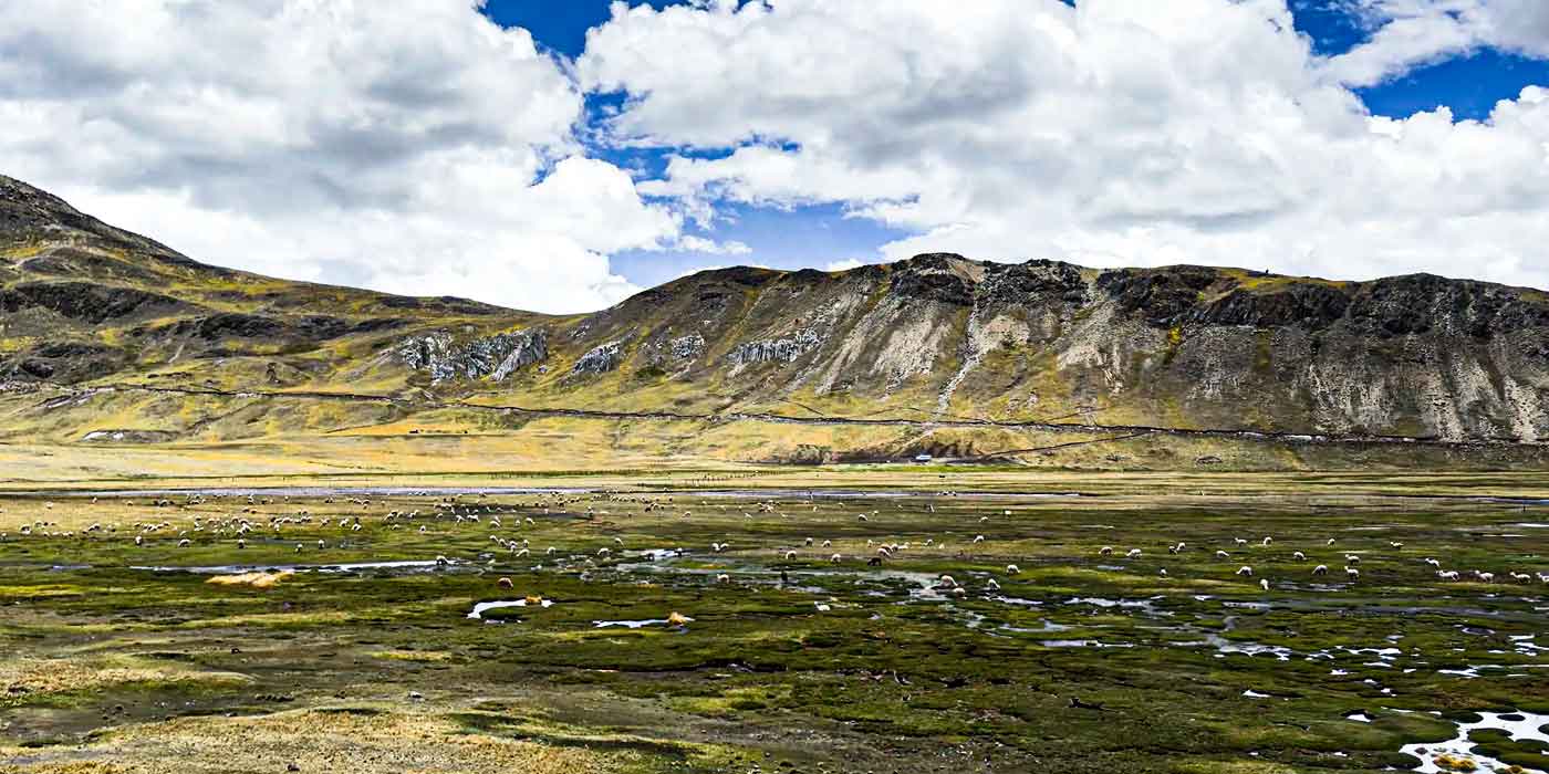 qelcaya Trek