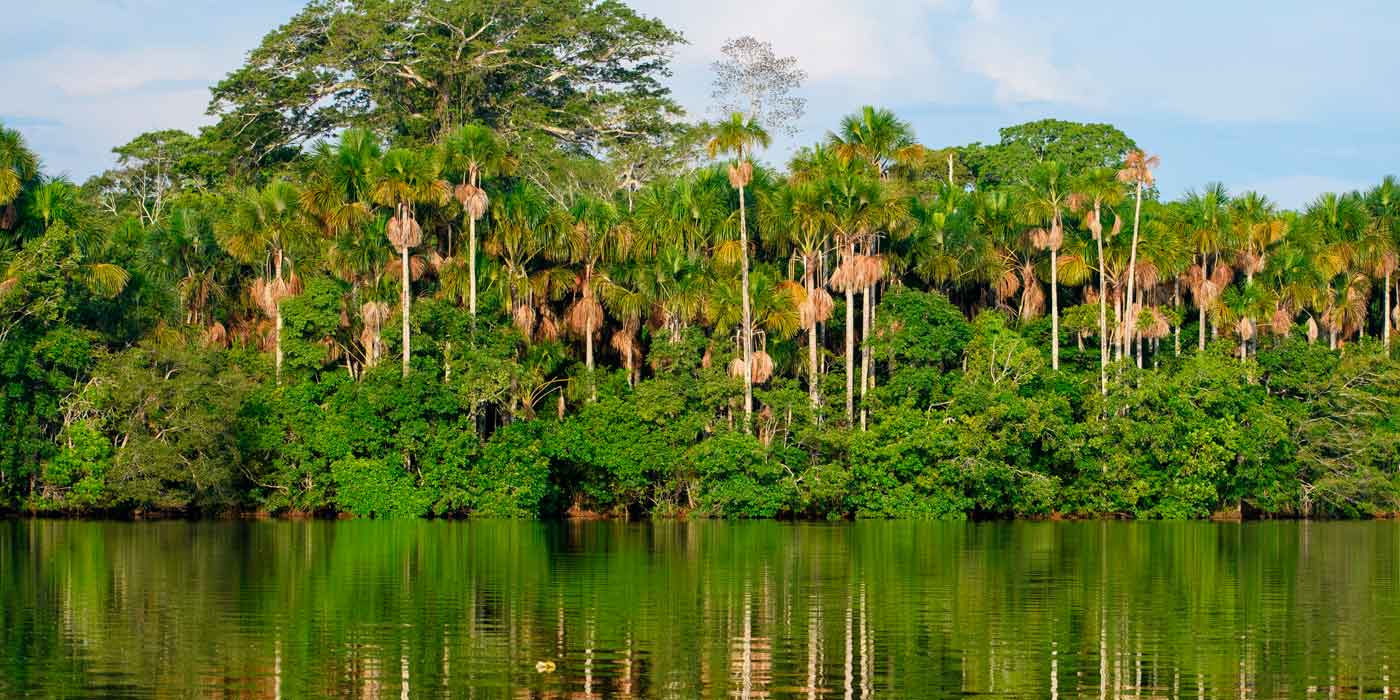 Tambopara Tour