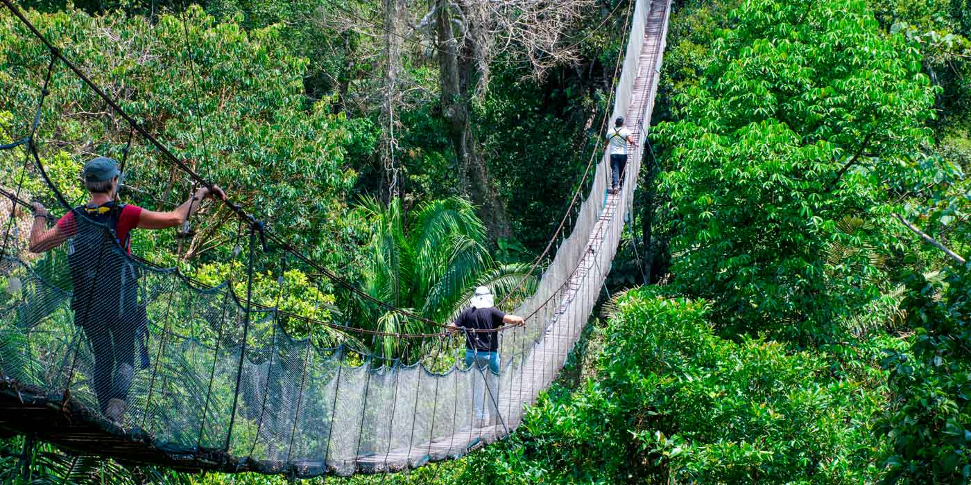 Tambopara Tour