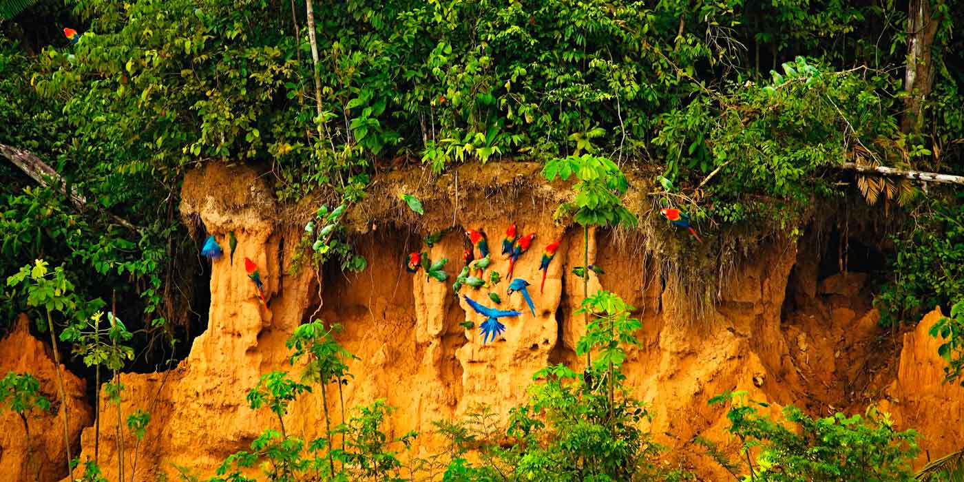 Tambopara Tour