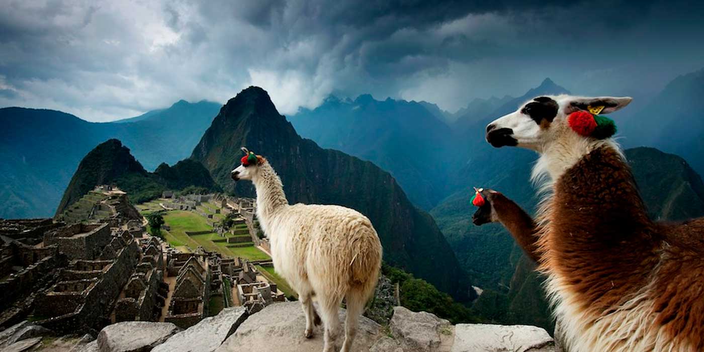 Machu Picchu